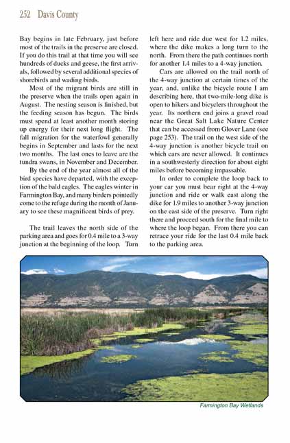 Farmington Bay Wetlands